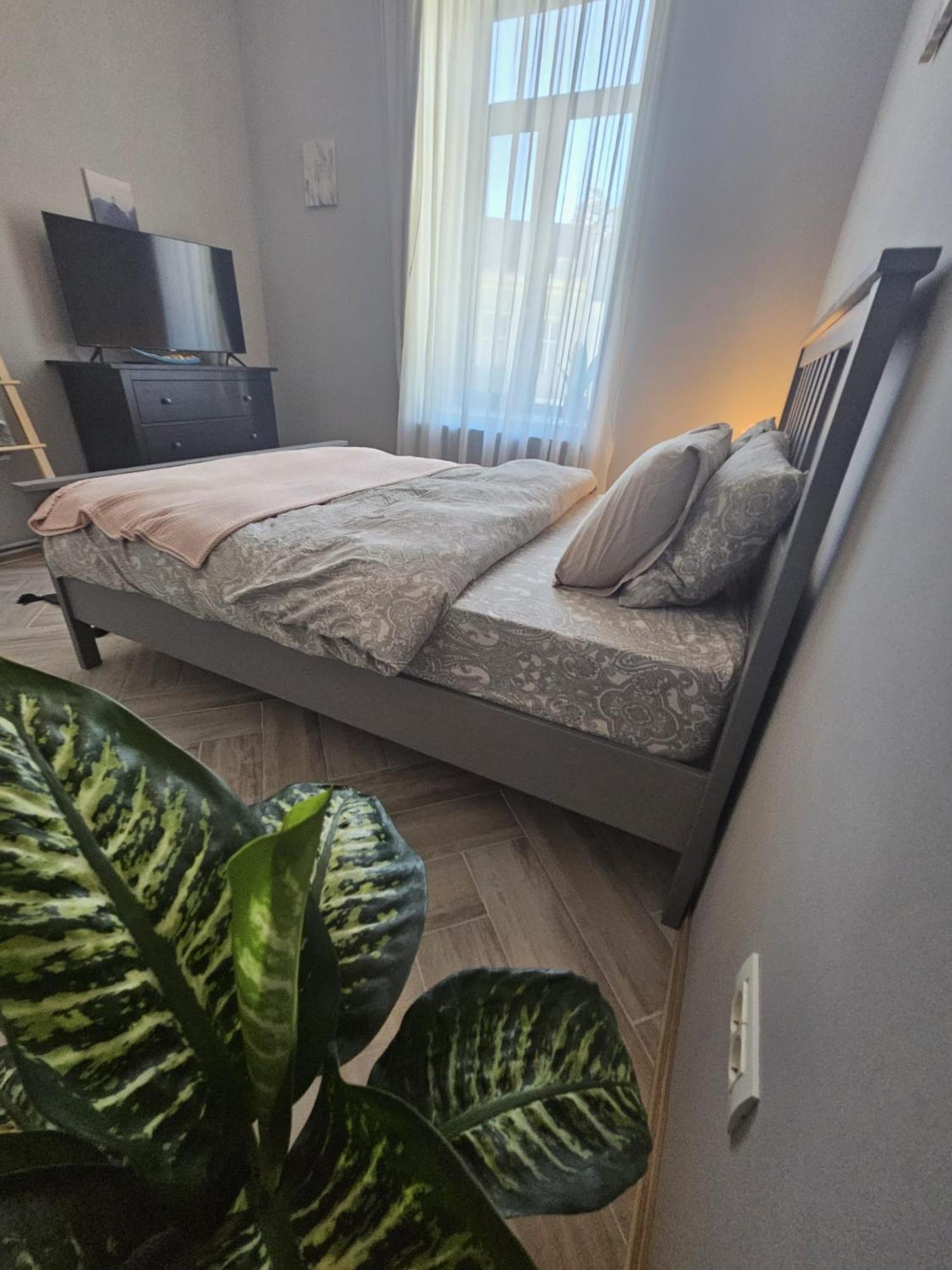 Zig Zag 4- Old Town Apartment Constanţa